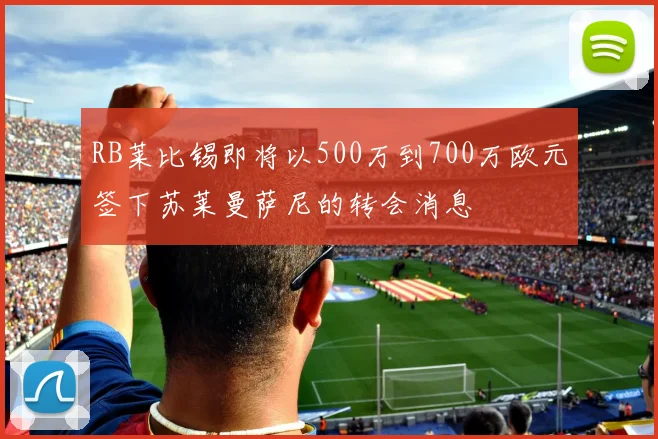 RB莱比锡即将以500万到700万欧元签下苏莱曼萨尼的转会消息