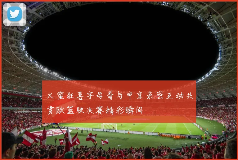 火蜜狂喜字母哥与申京亲密互动共赏欧篮联决赛精彩瞬间